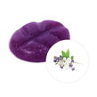 Vonný vosk Lavender & Jasmine ScentChips®