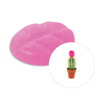Vonný vosk Cactus Flower ScentChips®